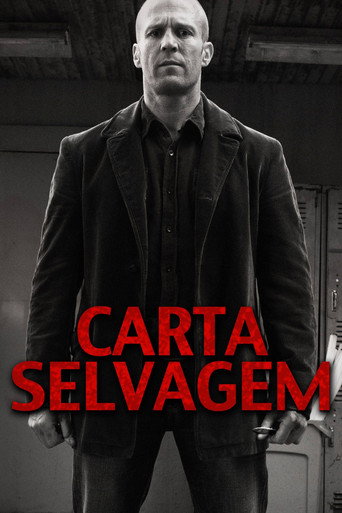 Assistir Carta Selvagem online dublado e legendado