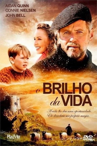 Poster de O Brilho da Vida