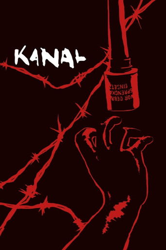 Poster de Kanal