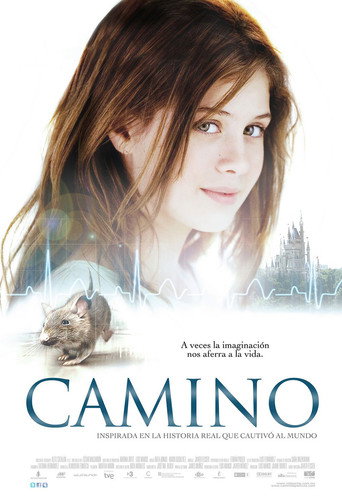 Assistir Um Caminho de Luz online dublado e legendado