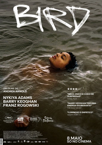 Poster de Bird
