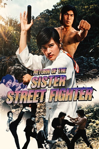 Poster de Return of the Sister Street Fighter