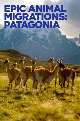 Assistir Migrações Animais Épicas: Patagônia online dublado e legendado