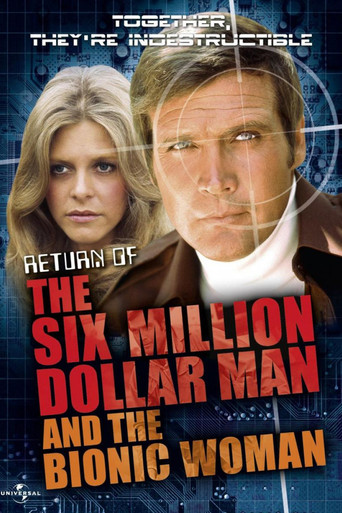 Assistir A Volta do Homem de Seis Milhões de Dólares e da Mulher Biônica online dublado e legendado