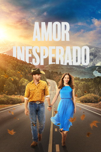 Poster de Amor Inesperado