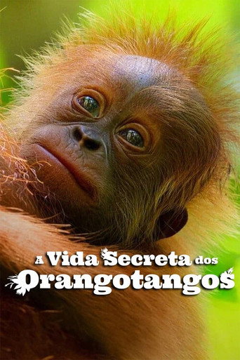 Assistir A Vida Secreta dos Orangotangos online dublado e legendado