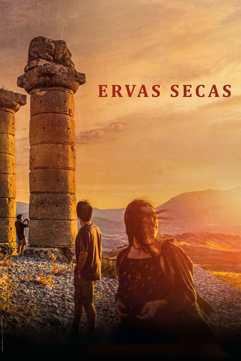 Poster de Ervas Secas