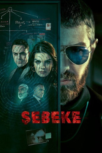 Assistir Şebeke online dublado e legendado