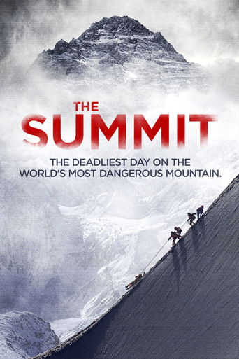 Poster de The Summit