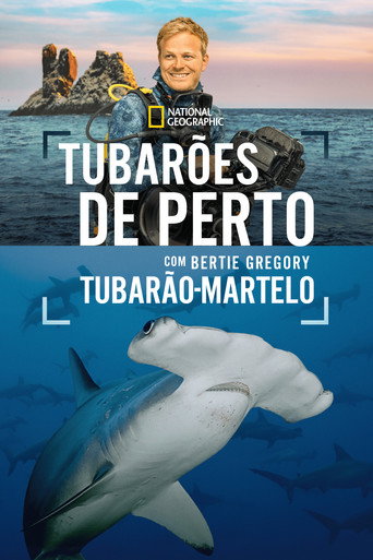 Assistir Tubarões de Perto com Bertie Gregory: Tubarão-martelo online dublado e legendado
