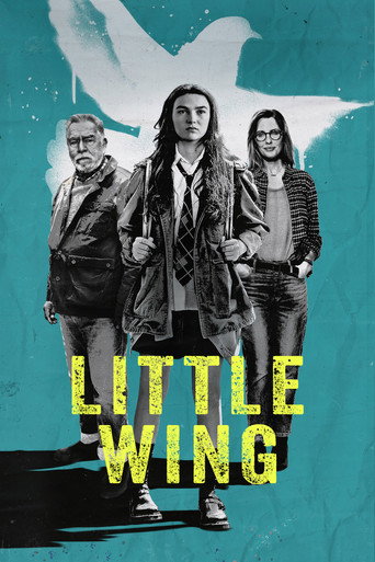 Assistir Little Wing online dublado e legendado