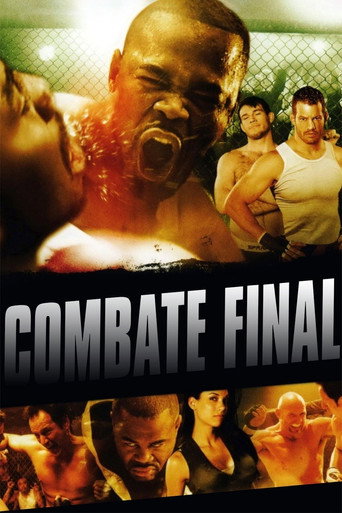 Assistir Combate Final online dublado e legendado