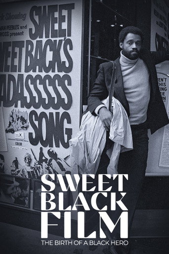 Assistir Melvin Van Peebles O Nascimento de um Heroi Negro online dublado e legendado