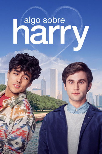 Poster de Algo Sobre Harry