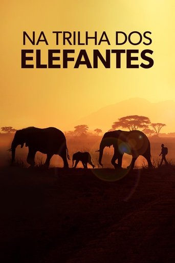 Assistir Na Trilha dos Elefantes online dublado e legendado