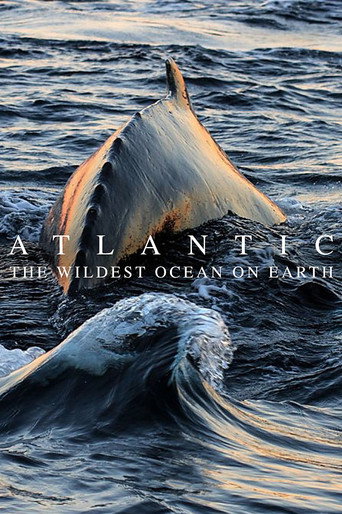 Assistir Atlantic: The Wildest Ocean on Earth online dublado e legendado