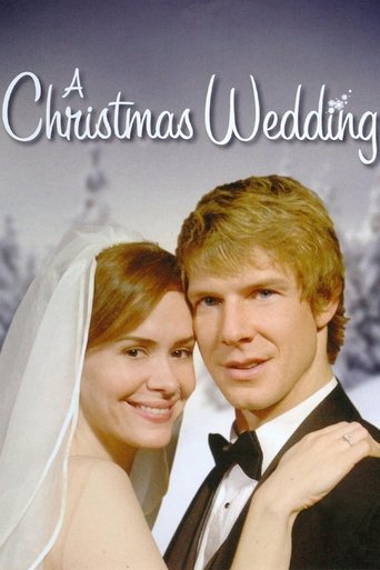 Assistir Um Casamento na Noite de Natal online dublado e legendado