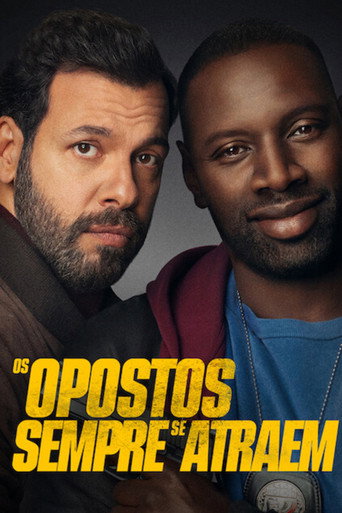 Poster de Os Opostos Sempre Se Atraem