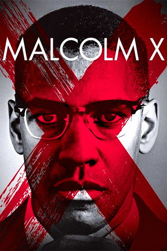 Assistir Malcolm X online dublado e legendado