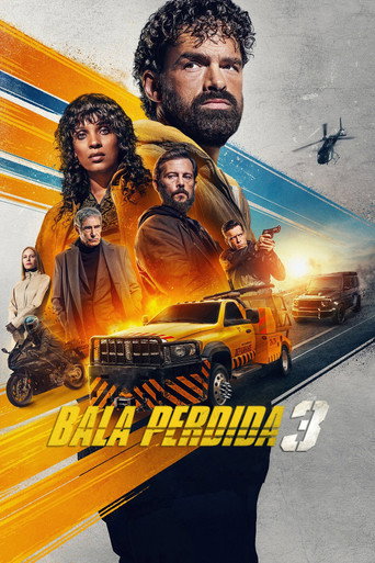 Poster de Bala Perdida 3