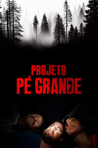 Assistir Projeto Pé Grande online dublado e legendado