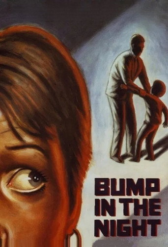 Assistir Busca Desesperada online dublado e legendado