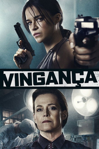 Assistir Vingança online dublado e legendado