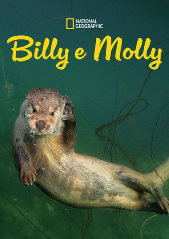 Assistir Billy e Molly: Uma História de Amor Diferente online dublado e legendado