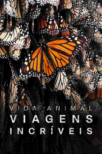 Assistir As Mais Incríveis Viagens de Animais online dublado e legendado