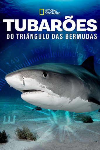 Assistir Tubarões do Triângulo das Bermudas online dublado e legendado
