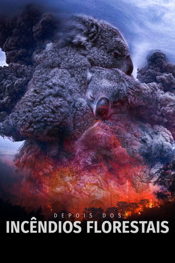 Assistir Depois dos Incêndios Florestais online dublado e legendado