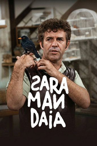 Assistir Saramandaia online dublado e legendado
