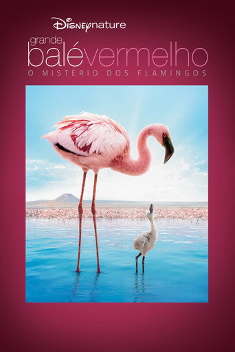 Poster de Grande Balé Vermelho: O Mistério dos Flamingos