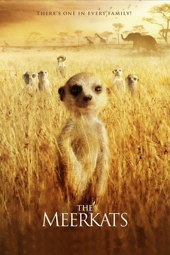 Poster de The Meerkats