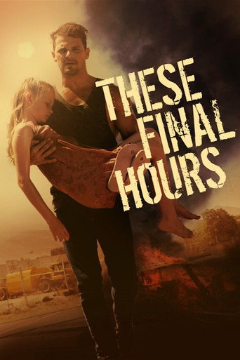 Poster de As Horas Finais
