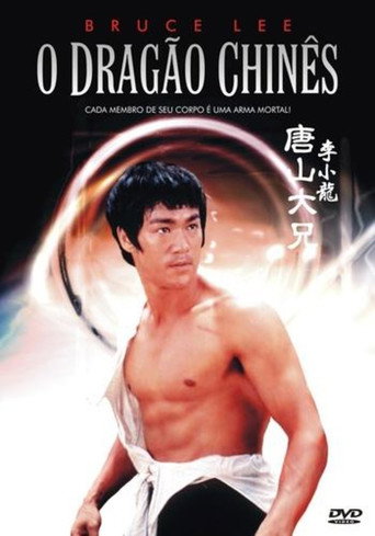 Assistir Bruce Lee - O Dragão Chines online dublado e legendado