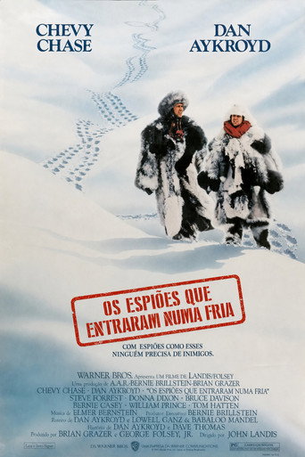 Poster de Os Espiões Que Entraram Numa Fria