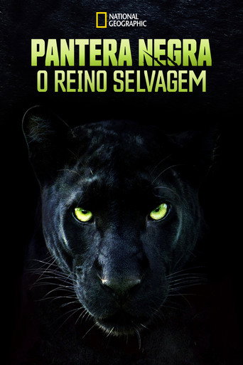 Assistir Pantera Negra: O Reino Selvagem online dublado e legendado