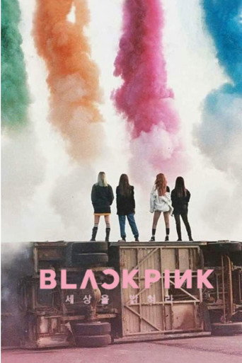 Assistir BLACKPINK: Light Up the Sky online dublado e legendado