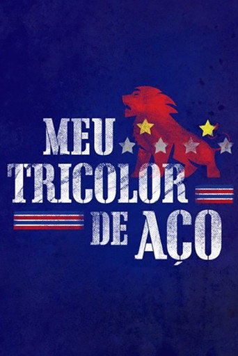 Assistir Meu Tricolor de Aço online dublado e legendado