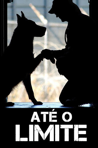 Assistir Até o Limite online dublado e legendado