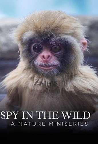 Assistir Spy in the Wild online dublado e legendado