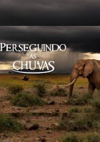 Assistir Perseguindo as Chuvas online dublado e legendado