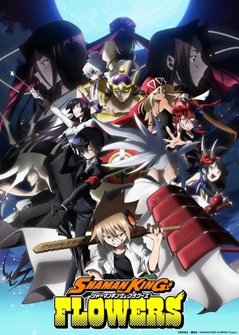 Assistir Shaman King Flowers online dublado e legendado