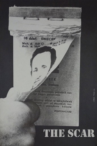 Poster de A Cicatriz