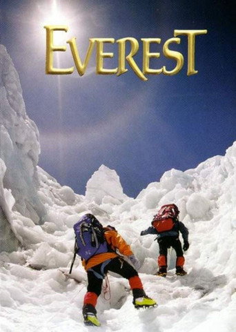 Assistir Os Segredos do Everest online dublado e legendado