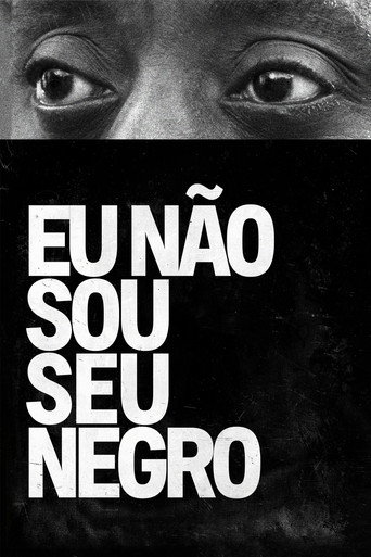 Poster de Eu Não Sou Seu Negro
