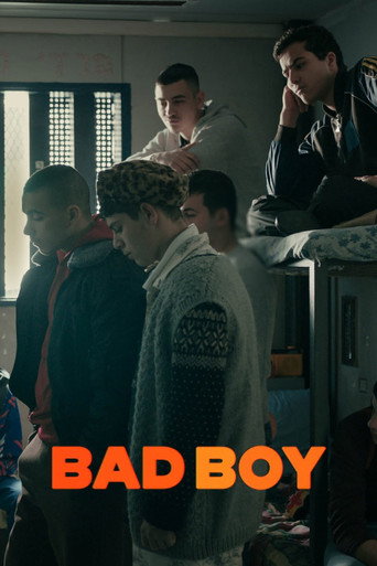 Assistir Bad Boy online dublado e legendado