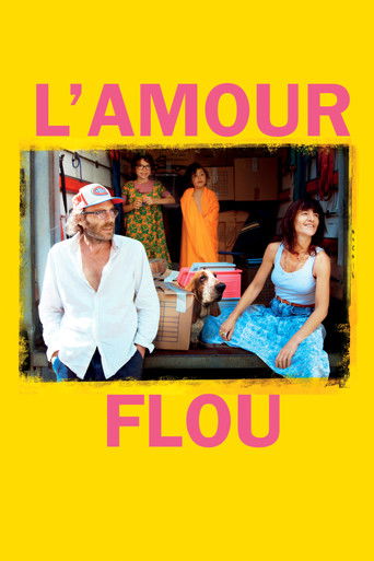 Poster de Amor Fora de Foco