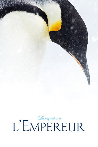Assistir A Marcha dos Pinguins 2 online dublado e legendado
